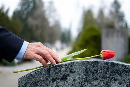 man lays flower on headstone